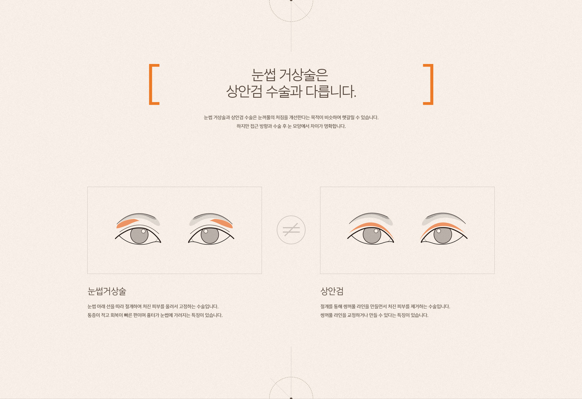 눈썹과 눈 사이 간격