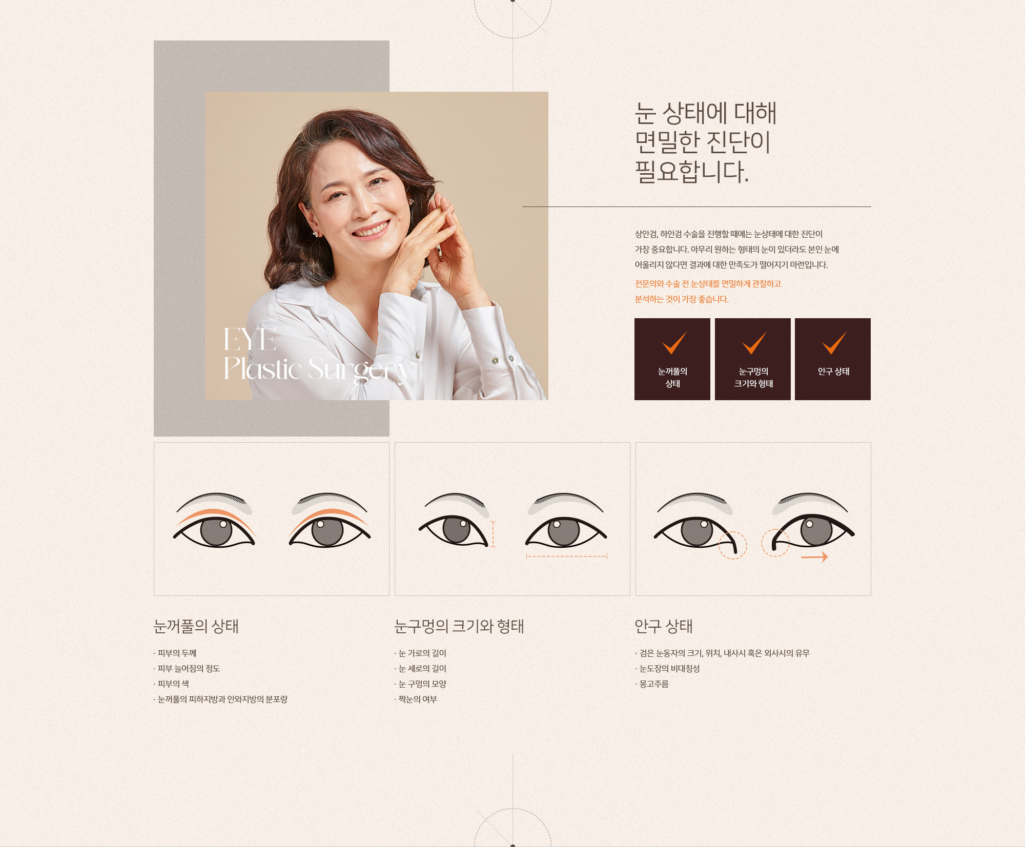 상,하안검