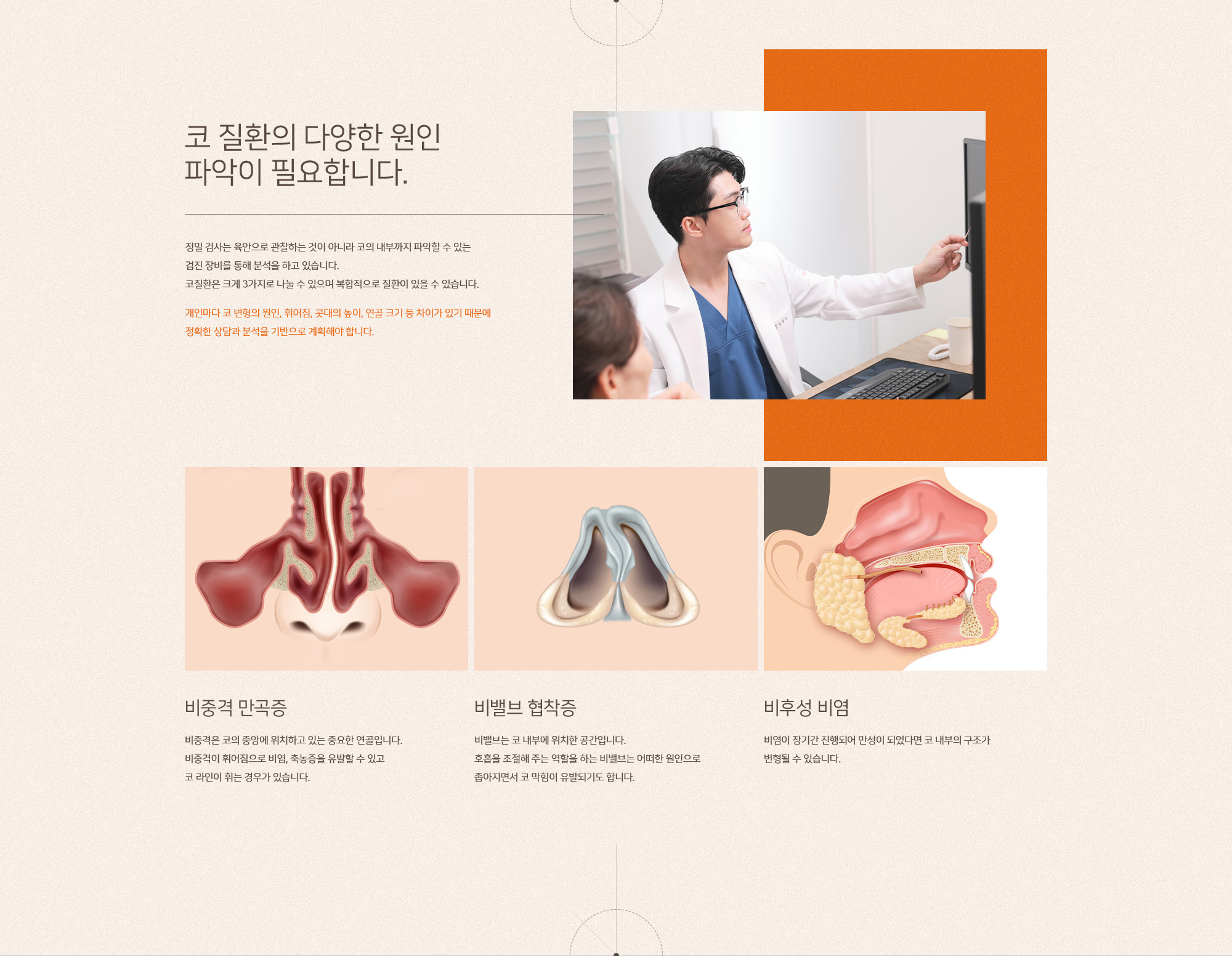 기능코성형