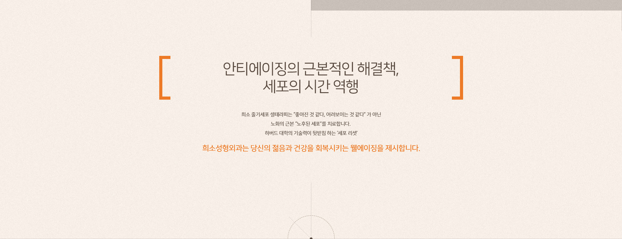 줄기세포 셀테라피