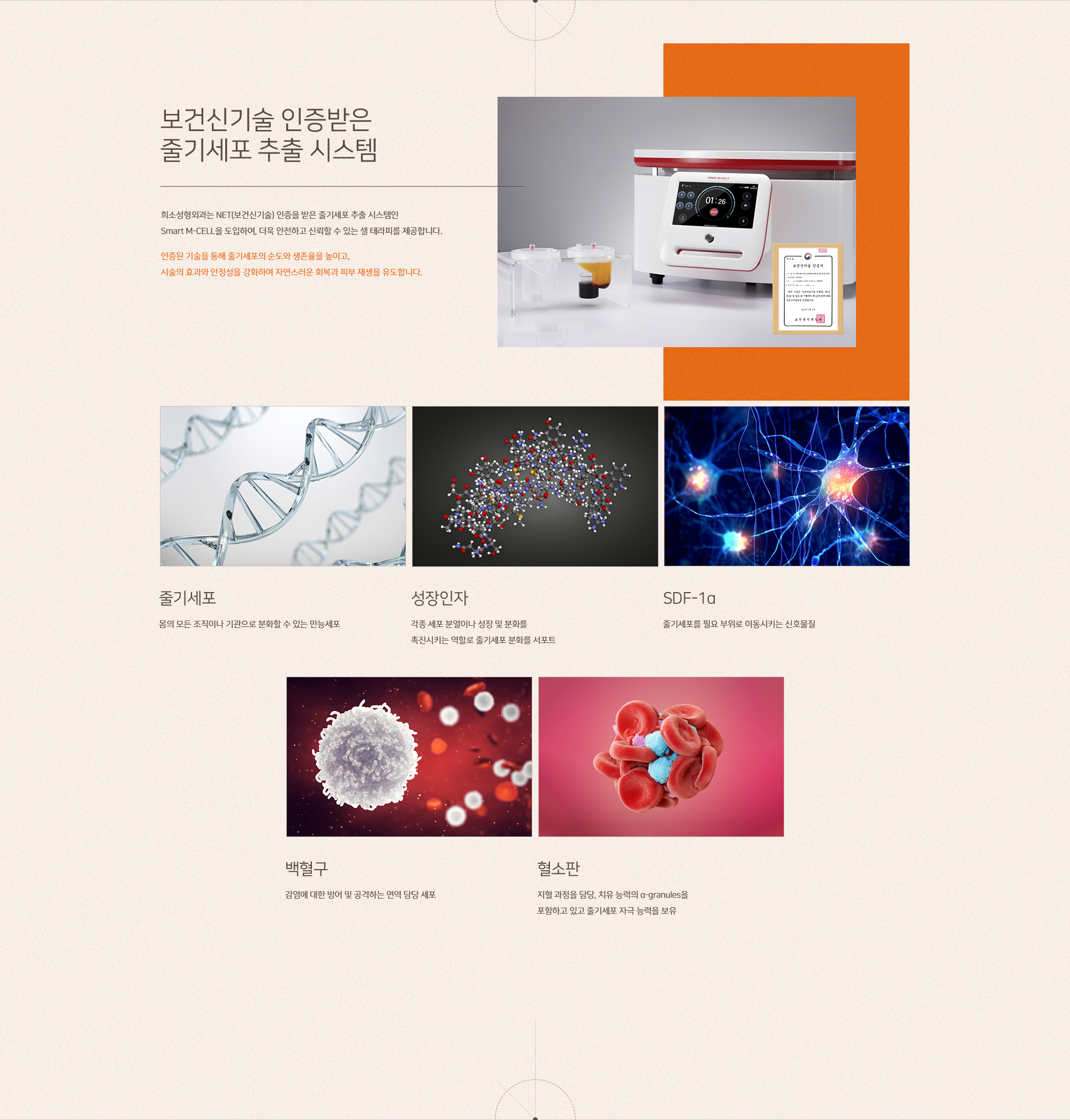 줄기세포 셀테라피