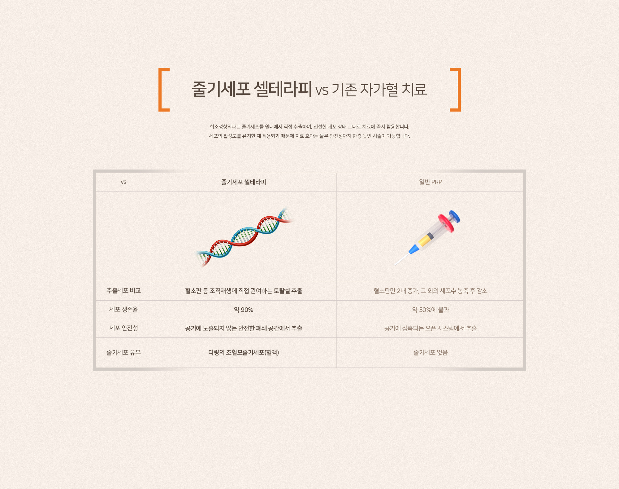 줄기세포 셀테라피
